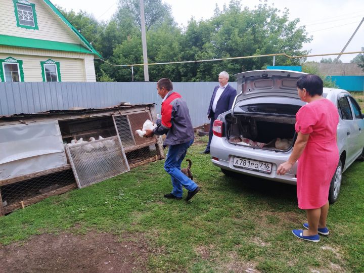 Чебиләр иясенә тапшырылды