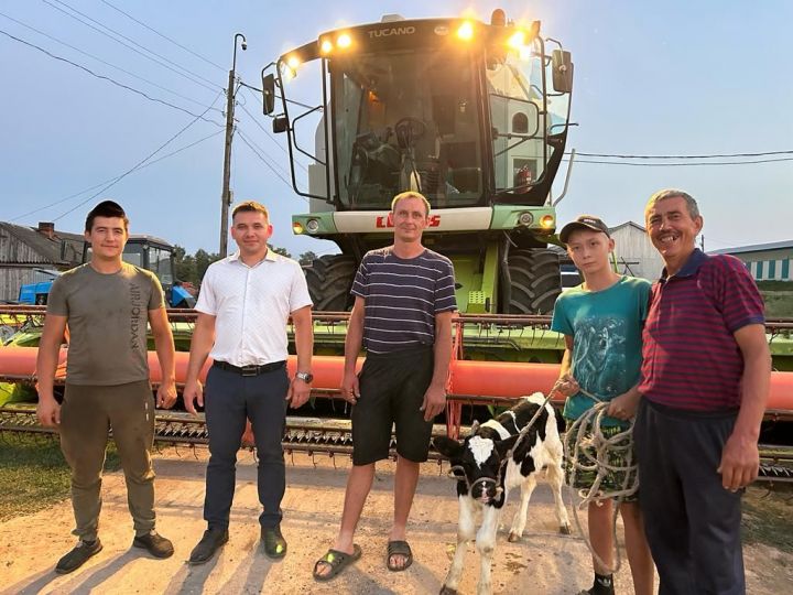 Айназ бозау белән бүләкләнде