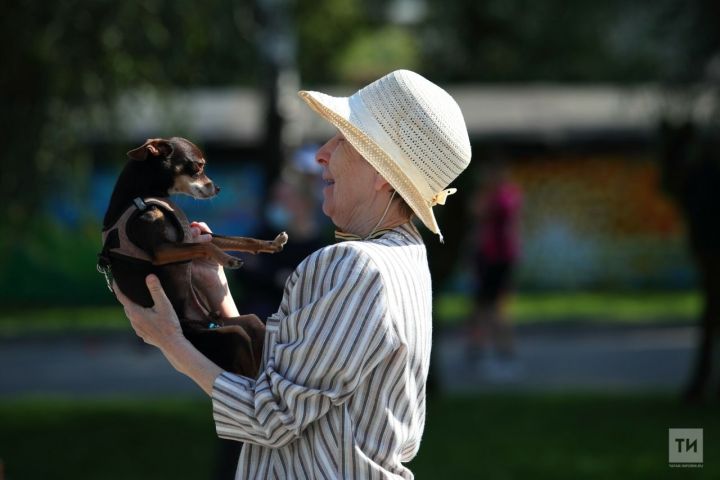 «60 яшьтән өлкәнрәкләргә». 21 сентябрьдән барлык пенсионерлар өчен дә яңа ташлама кертелә