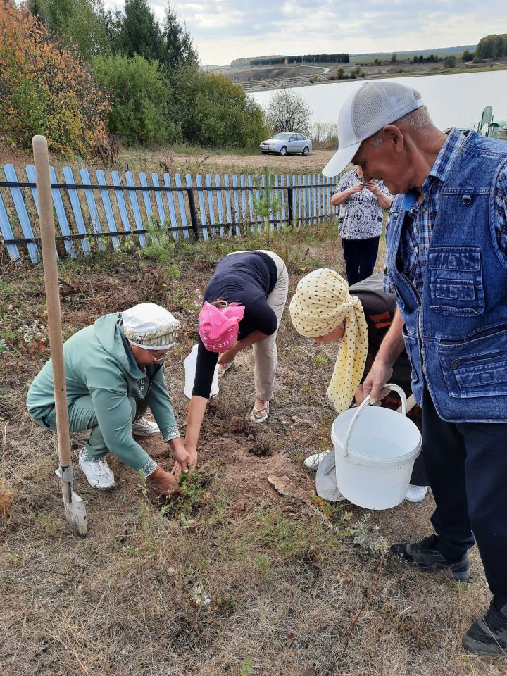 Ахун чишмәсенә агач утыртылды