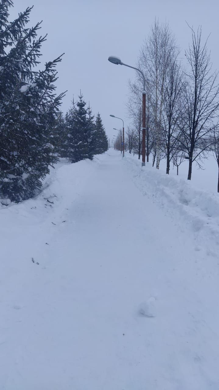 Сукмак булуына сөендем