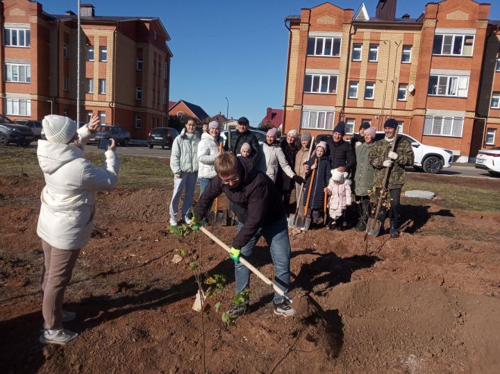 Бүген Арчада бәхетле гаиләләр агач утыртты