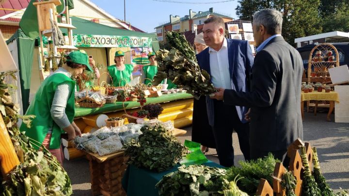 Арчада мәктәпләр ярминкәсе