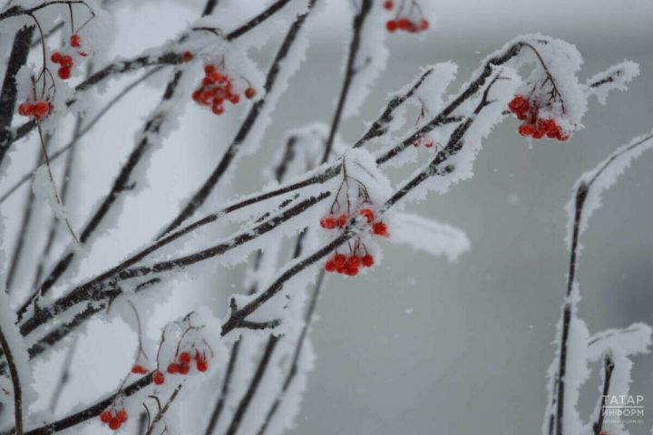 Татарстанда бераз салкынайтачак