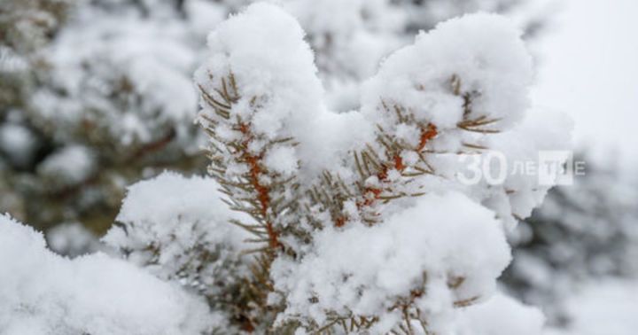 Гыйнвар җылы — март салкын: гыйнвар аена халык сынамышлары