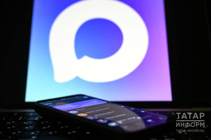 Татарстанлыларга МАХта мошенниклардан ничек сакланырга кирәклеге турында аңлаттылар