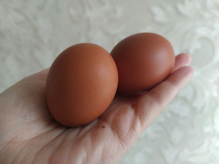 Тавыкларга чүпрә кирәк