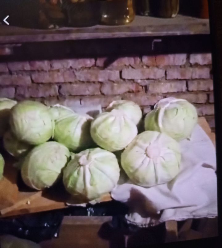 Яшелчәләрне кыш көне ничек сакларга?