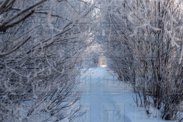 В Татарстане ожидается значительное похолодание