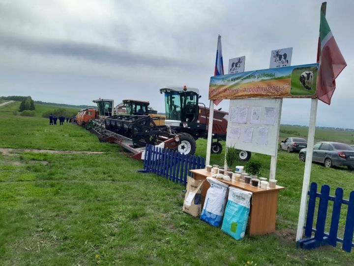 Печәннәре җитәр бер заман...