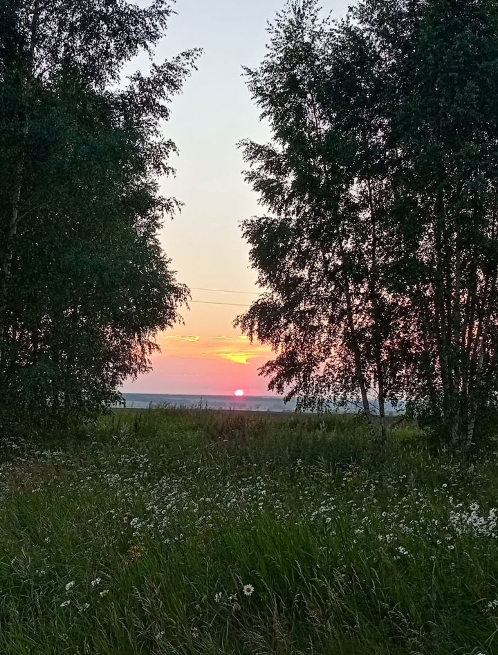 Миңа бик тә үз җиремдә рәхәт