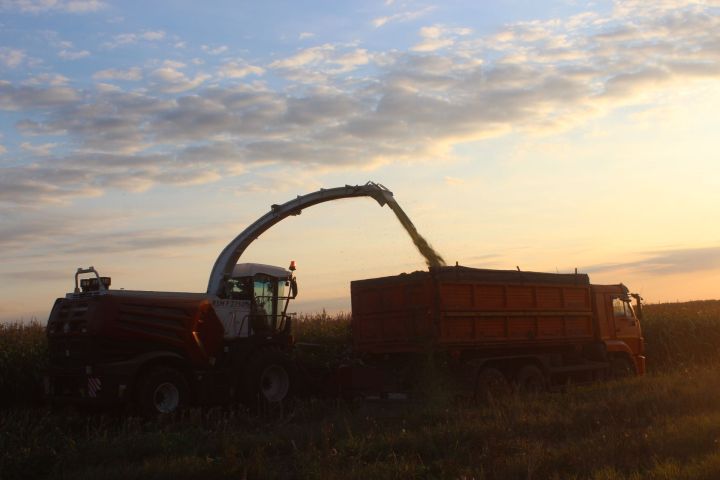Арчада алдынгы механизаторларны бүләкләделәр