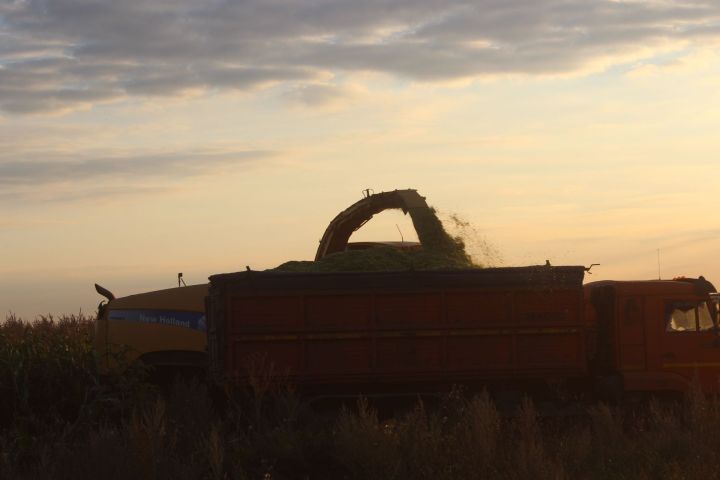 Арчада алдынгы механизаторларны бүләкләделәр