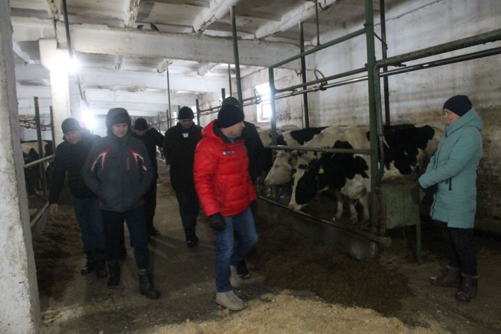 Терлекчелек игътибар үзәгендә