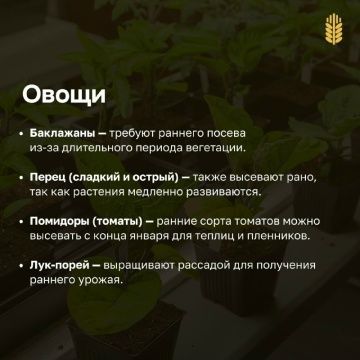 Гыйнвардан усемлекләрне утырта башласаң була