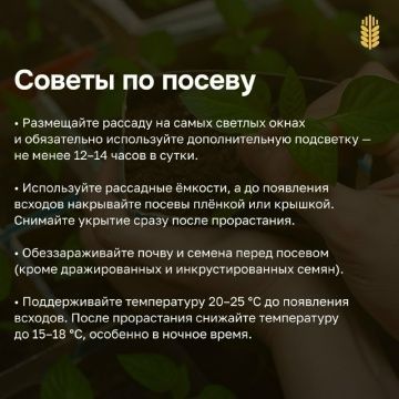 Гыйнвардан усемлекләрне утырта башласаң була