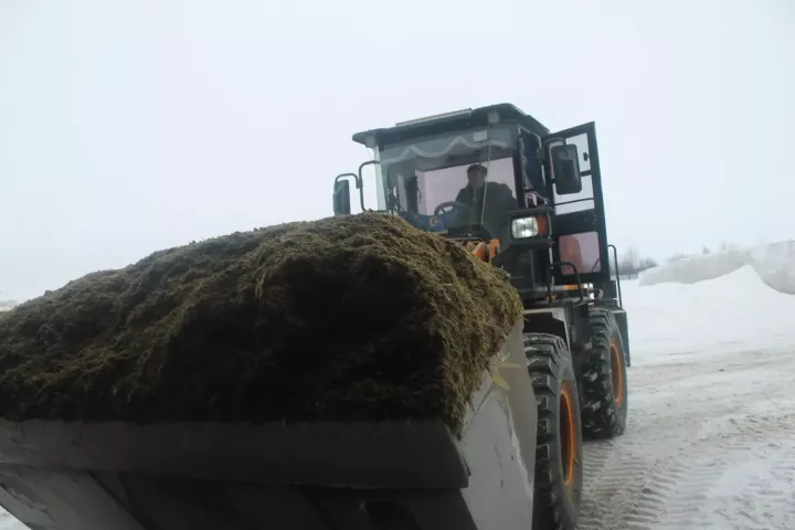 Бәйрәмдә дә эштә алар