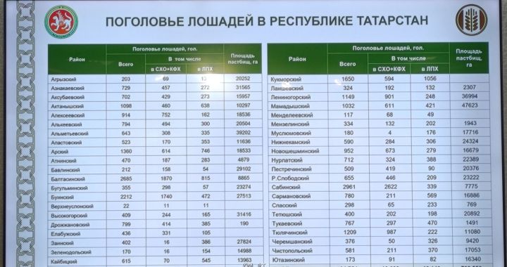 Атлар санын 1.5 тапкырга арттырырга