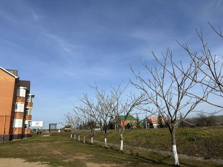 Бүген көндез температура +15 градуска кадәр күтәреләчәк