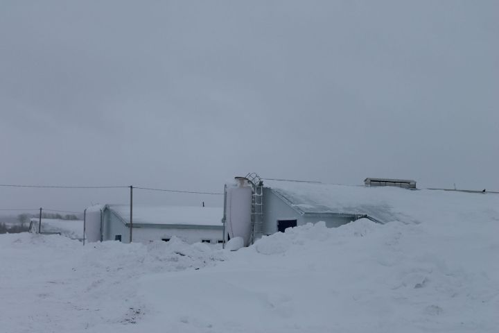Арчага Калуга өлкәсеннән кунаклар килде