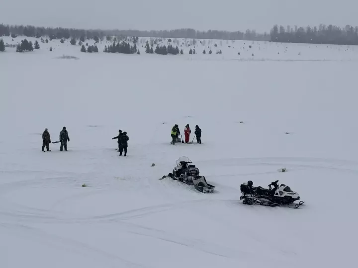 Балык булсын!