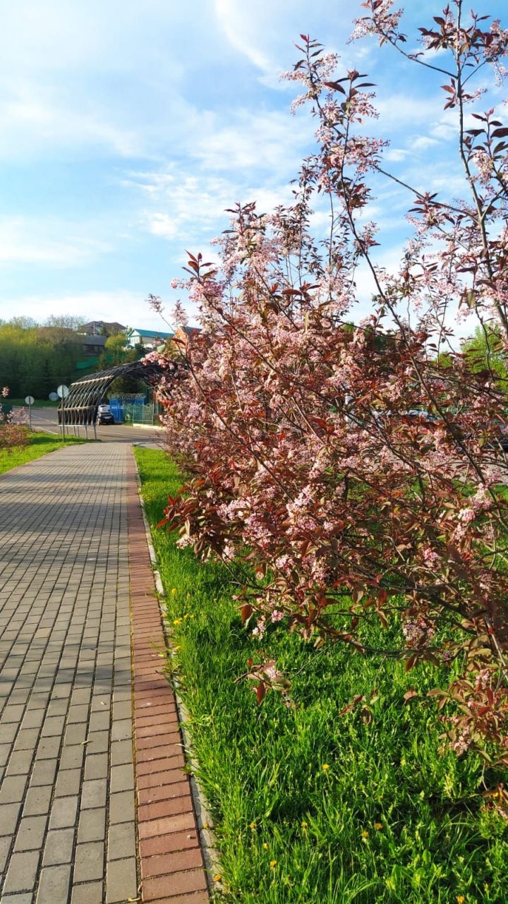 Казансу паркында
