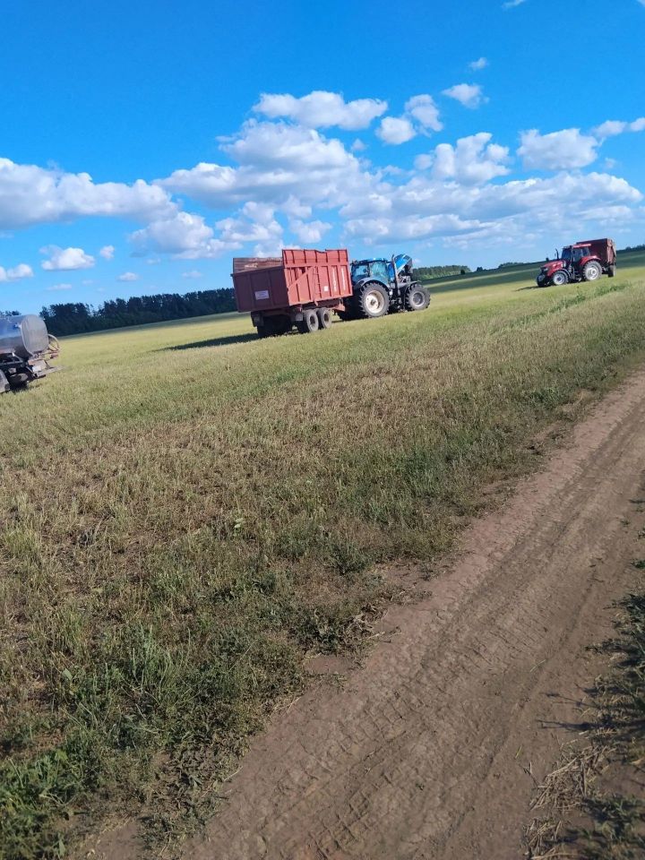 Арча районы авыл хуҗалыгы һәм азык төлек бүлеге җитәкчесе Айдар Рамазанов хуҗалыкларда азык әзерләү барышы белән танышты