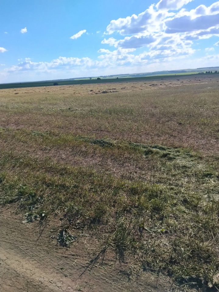 Арча районы авыл хуҗалыгы һәм азык төлек бүлеге җитәкчесе Айдар Рамазанов хуҗалыкларда азык әзерләү барышы белән танышты
