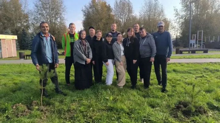 Тренерлар Арча стадионында агач утыртты