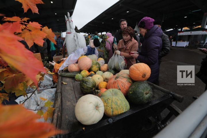 В  Татарстане стартуют традиционные осенние сельскохозяйственные ярмарки